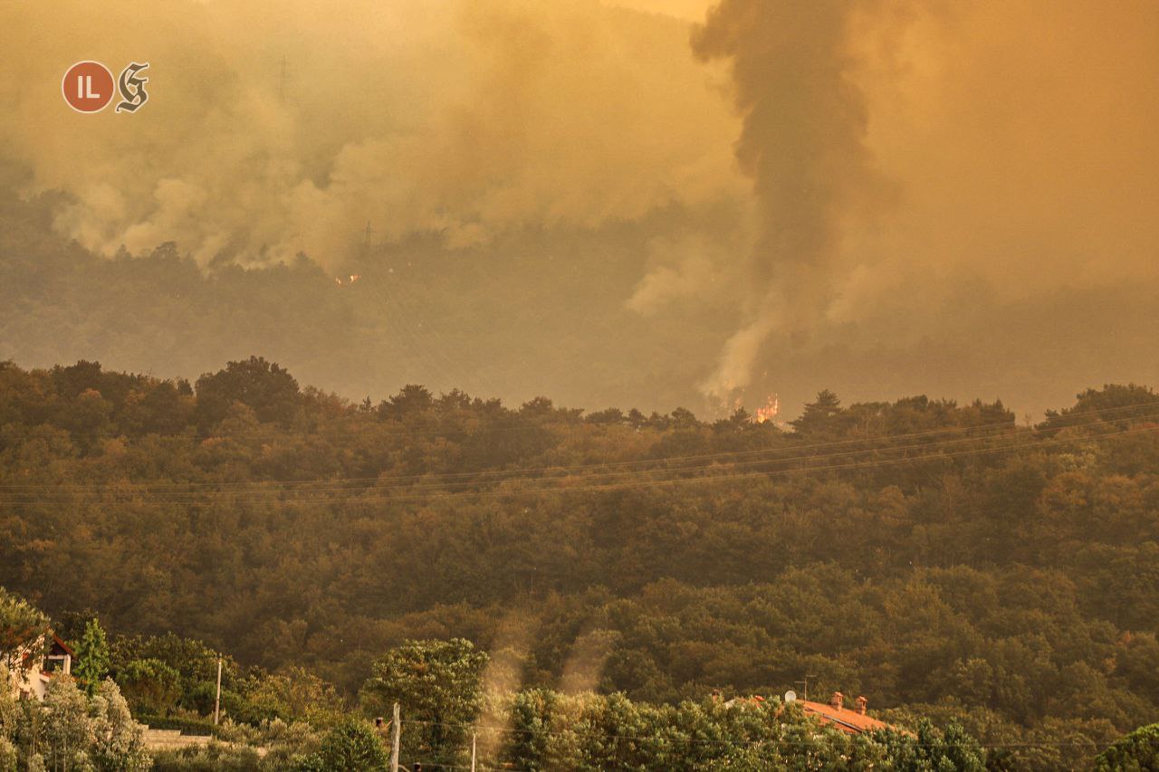 A fuoco 30 chilometri quadrati di Carso, dubbi sulla natura dolosa